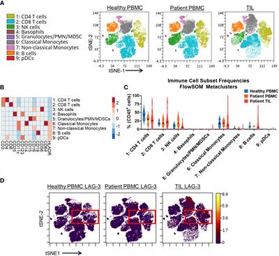 Comprehensive immunophenotyping of solid tumor-infiltrating immune cells reveals the expression characteristics of LAG-3 and its ligands